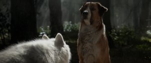 Зов предков (The Call of the Wild)
