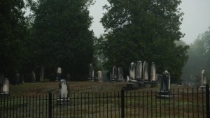 Мёртвые не умирают (The Dead Don't Die)