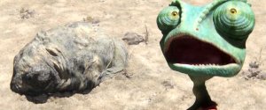 Ранго (Rango)