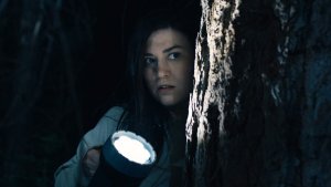 Тот кто смотрит (Stranger in the Woods)