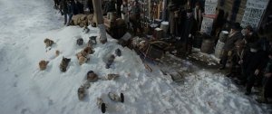 Зов предков (The Call of the Wild)