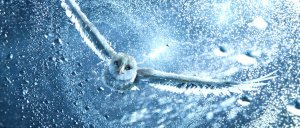 Легенды ночных стражей (Legend of the Guardians: The Owls of Ga’Hoole)