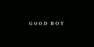 Глазами пса (Good Boy)