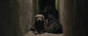 Догмен (Dogman)