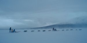 1 сезон