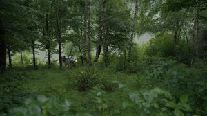 Зона интересов (The Zone of Interest)