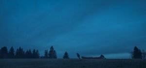 Как заработать на убийстве (Un ours dans le Jura)
