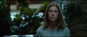 Исчезнувшая (Gone Girl)