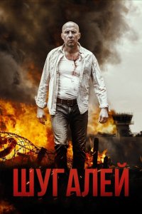 Постер Шугалей, Shugalei (2020)