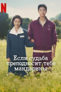 Постер Когда жизнь даёт тебе мандарины (Pokssak sokassuda)