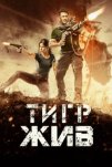 Тигр жив (2017)
