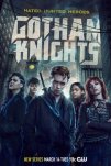Рыцари Готэма (2023)