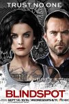 Слепая зона (2015)