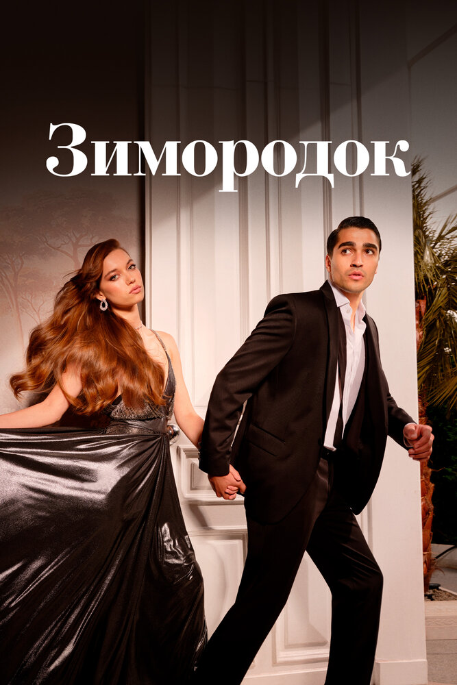 Зимородок Зимородок