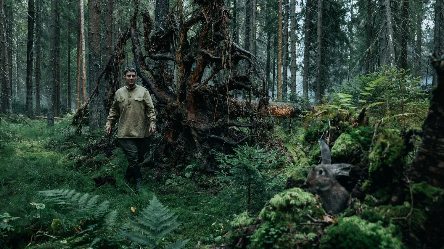 Август: кадр 2